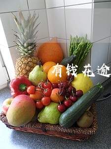 有钱花逾期会去你家嘛 有钱花逾期会去你家嘛