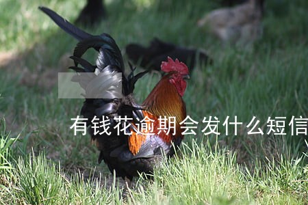 有钱花逾期会发什么短信 有钱花逾期会发什么短信