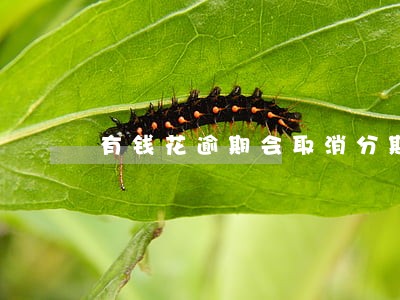 有钱花逾期会取消分期吗 有钱花逾期会取消分期吗