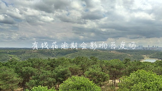 有钱花逾期会影响百度吗 有钱花逾期会影响百度吗