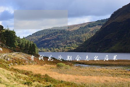 有钱花逾期会怎么后果 有钱花逾期会怎么后果