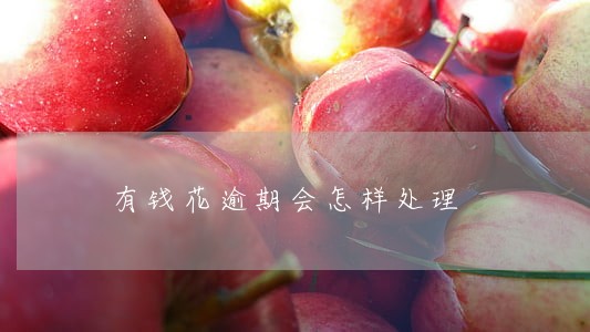 有钱花逾期会怎样处理 有钱花逾期会怎样处理
