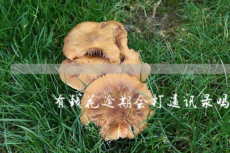 有钱花逾期会打通讯录吗 有钱花逾期会打通讯录吗