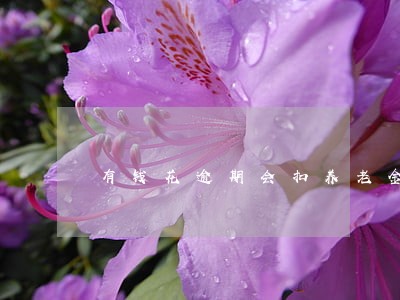 有钱花逾期会扣养老金吗