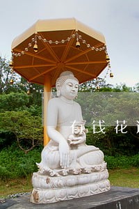 有钱花逾期会把车子收走吗 有钱花逾期会把车子收走吗