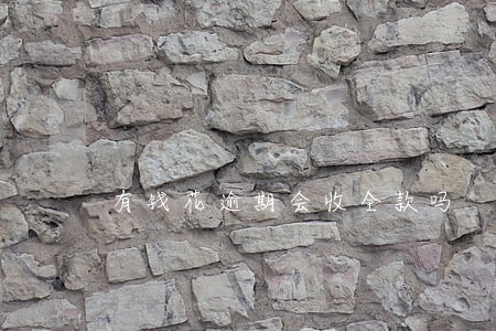 有钱花逾期会收全款吗 有钱花逾期会收全款吗