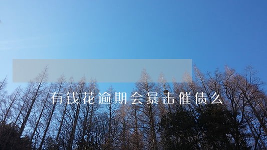 有钱花逾期会暴击催债么 有钱花逾期会暴击催债么