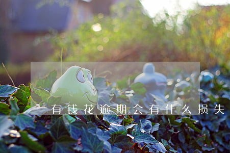 有钱花逾期会有什么损失 有钱花逾期会有什么损失