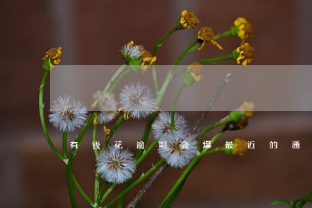 有钱花逾期会爆最近的通话记录吗 有钱花逾期会爆最近的通话记录吗