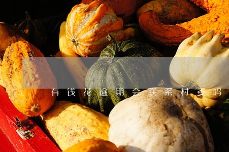 有钱花逾期会联系村委吗 有钱花逾期会联系村委吗