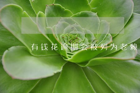 有钱花逾期会被列为老赖吗 有钱花逾期会被列为老赖吗