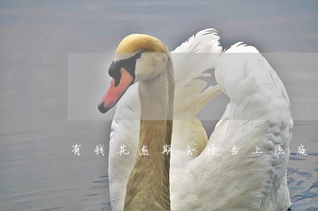 有钱花逾期会被告上法庭吗 有钱花逾期会被告上法庭吗