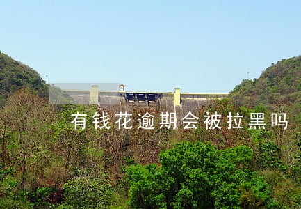 有钱花逾期会被拉黑吗 有钱花逾期会被拉黑吗