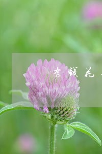 有钱花逾期保证期 有钱花逾期保证期