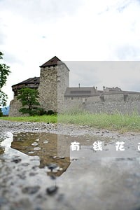有钱花逾期保险代偿 有钱花逾期保险代偿