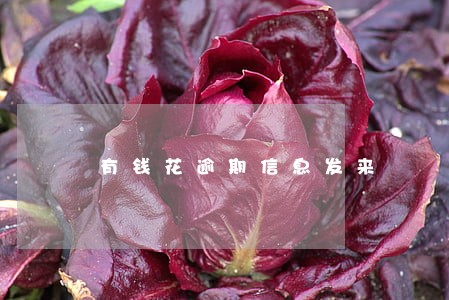 有钱花逾期信息发来 有钱花逾期信息发来