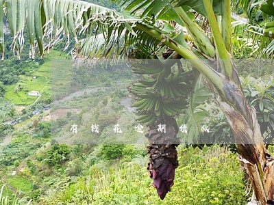 有钱花逾期债权 有钱花逾期债权