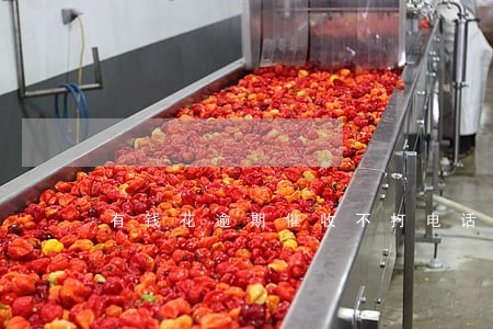 有钱花逾期催收不打电话了 有钱花逾期催收不打电话了