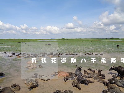 有钱花逾期八千快两年了利息多少 有钱花逾期八千快两年了利息多少