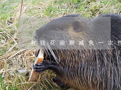 有钱花逾期减免一次性结清流程 有钱花逾期减免一次性结清流程
