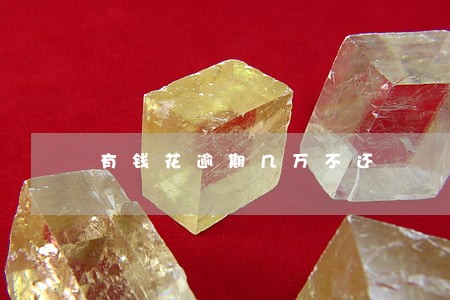 有钱花逾期几万不还 有钱花逾期几万不还
