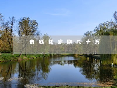 有钱花逾期几十万 有钱花逾期几十万