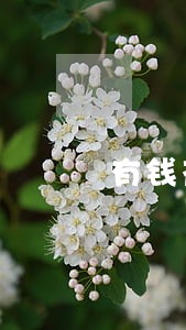 有钱花逾期几千不还 有钱花逾期几千不还