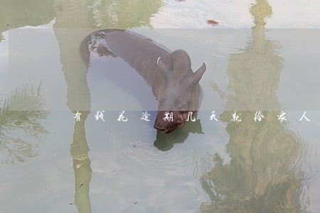 有钱花逾期几天就给家人打电话 有钱花逾期几天就给家人打电话