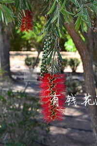 有钱花逾期几天通知家人 有钱花逾期几天通知家人