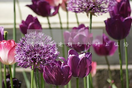 有钱花逾期几小时上征信吗 有钱花逾期几小时上征信吗