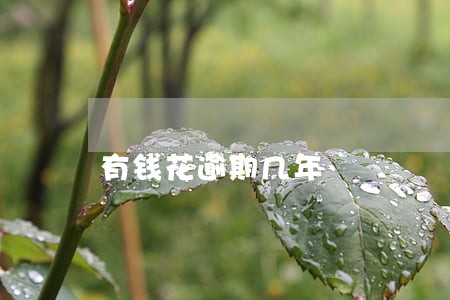 有钱花逾期几年 有钱花逾期几年