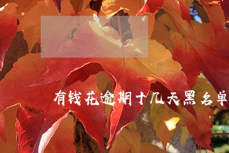 有钱花逾期十几天黑名单 有钱花逾期十几天黑名单