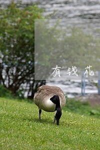 有钱花逾期十天会给家里打电话 有钱花逾期十天会给家里打电话