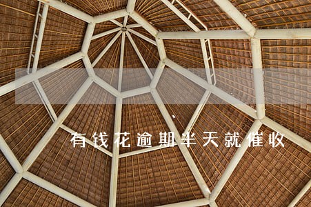 有钱花逾期半天就催收