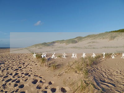 有钱花逾期半年了会怎么样 有钱花逾期半年了会怎么样