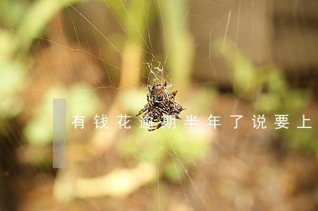 有钱花逾期半年了说要上门 有钱花逾期半年了说要上门