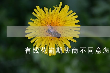 有钱花逾期协商不同意怎么办