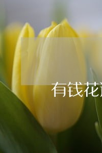 有钱花逾期协商打什么电话