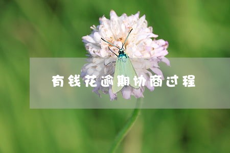 有钱花逾期协商过程