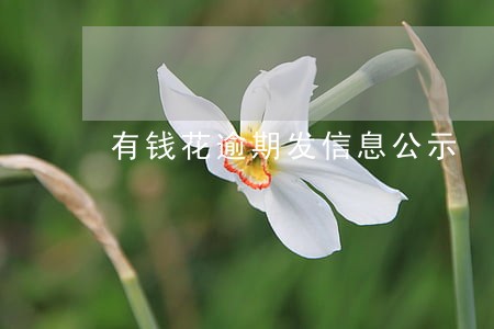 有钱花逾期发信息公示 有钱花逾期发信息公示