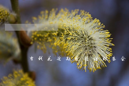 有钱花逾期发短信村委会找我 有钱花逾期发短信村委会找我