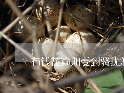 有钱花逾期受到骚扰怎么办 有钱花逾期受到骚扰怎么办