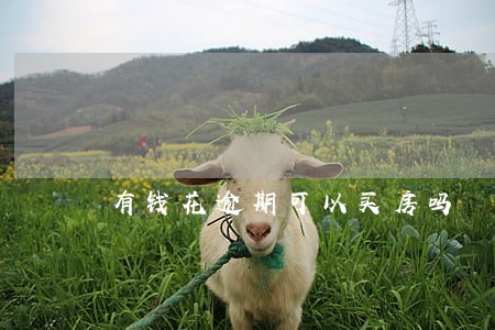 有钱花逾期可以买房吗
