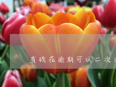 有钱花逾期可以二次分期么