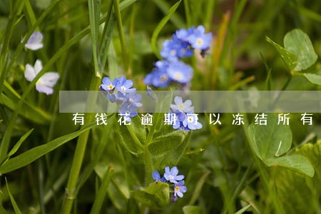 有钱花逾期可以冻结所有资产吗 有钱花逾期可以冻结所有资产吗
