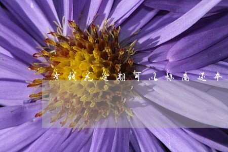 有钱花逾期可以协商还本金么 有钱花逾期可以协商还本金么