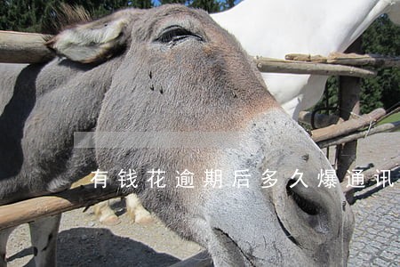 有钱花逾期后多久爆通讯录 有钱花逾期后多久爆通讯录