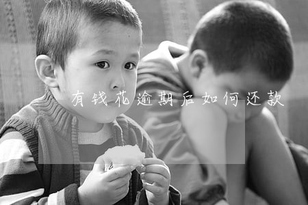 有钱花逾期后如何还款 有钱花逾期后如何还款