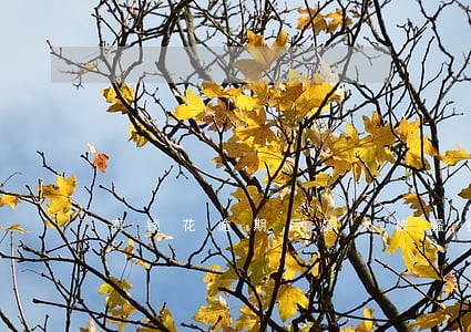 有钱花逾期后家人被骚扰了 有钱花逾期后家人被骚扰了