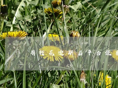 有钱花逾期后平台说要收违约金 有钱花逾期后平台说要收违约金